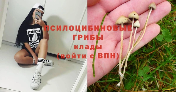 кокс Володарск