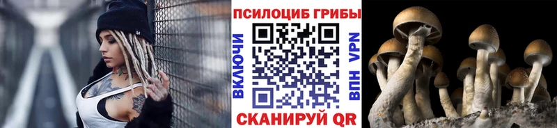 Купить закладки  Лесозаводск  Галлюциногенные грибы мицелий 